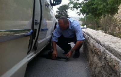 הודיה שטראוס צילום: הודיה שטראוס ברנז'ה