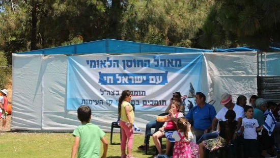 דוידי בן ציון צילום: דוידי בן ציון חדשות