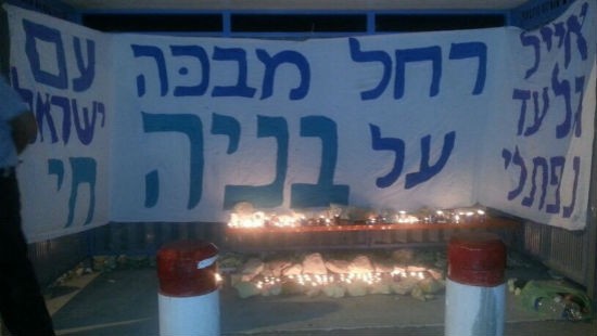 חנן גרינווד צילום: חנן גרינווד חדשות