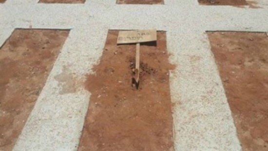 סוכנות תצפית צילום: סוכנות תצפית חדשות