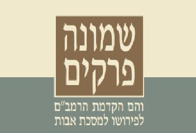 עטיפת הספר צילום: עטיפת הספר חדש על המדף