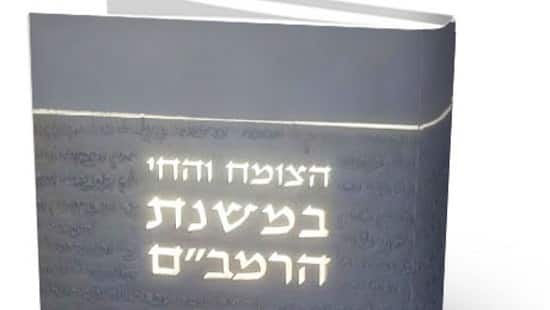 פרופסור זוהר עמר צילום: פרופסור זוהר עמר ספרים