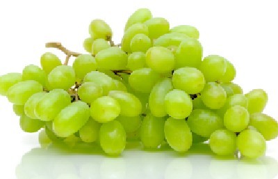 shutterstock צילום: shutterstock יהדות