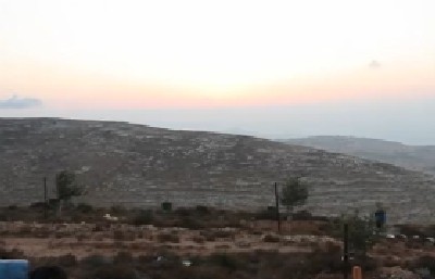 צילום מסך צילום: צילום מסך חדשות
