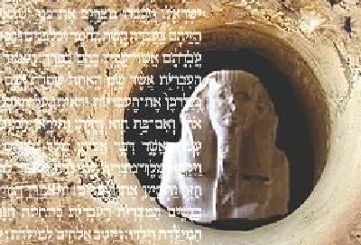 עטיפת הספר צילום: עטיפת הספר חדש על המדף