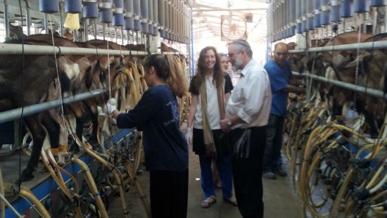 לאורו נלך צילום: לאורו נלך חדשות