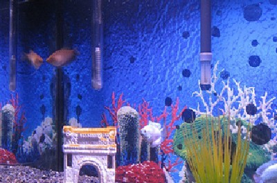 rfduck-cc-by-nd צילום: rfduck-cc-by-nd הורים וילדים
