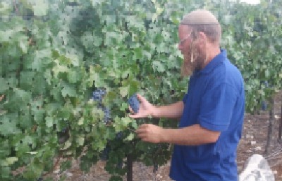דוברות יצהר צילום: דוברות יצהר חדשות