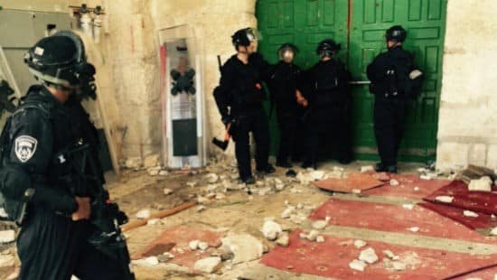 חטיבת דובר המשטרה צילום: חטיבת דובר המשטרה חדשות