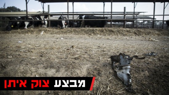 פלאש 90 צילום: פלאש 90 חדשות