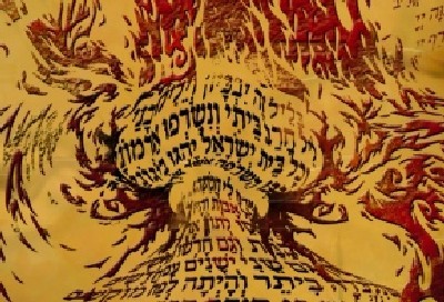 יחצ צילום: יחצ מוזיקה