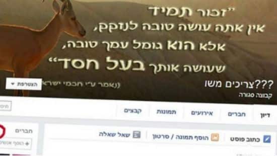 באדיבות המצלם צילום: באדיבות המצלם חדשות
