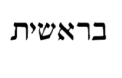 צילום מסך צילום: צילום מסך חדשות