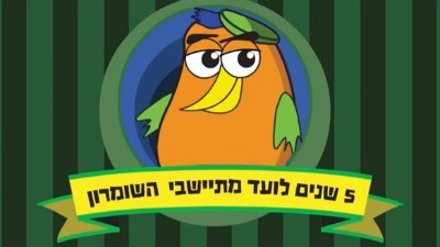  חדשות