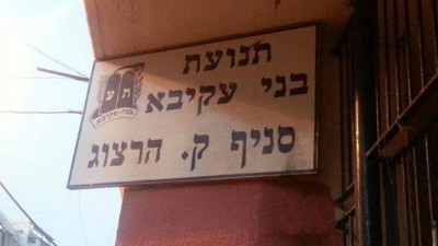  חדשות