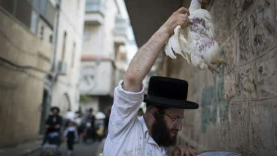 אילוסטרציה. Hadas Parush, פלאש 90 צילום: אילוסטרציה. Hadas Parush, פלאש 90 חדשות