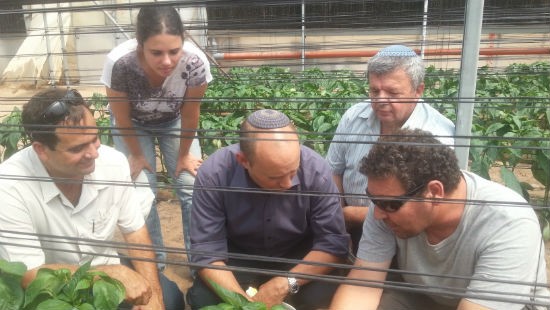 דוברות כלפה צילום: דוברות כלפה חדשות