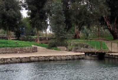 יחצ, ספריית בית אל צילום: יחצ, ספריית בית אל תרבות
