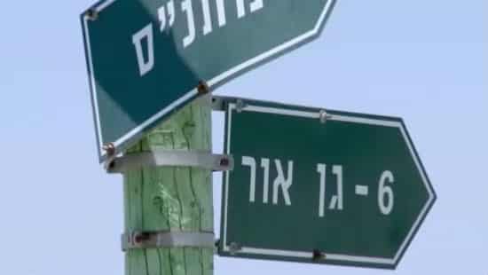 צילום מסך צילום: צילום מסך תרבות
