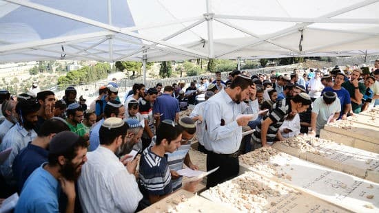 יחצ צילום: יחצ חדשות