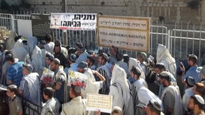  חדשות