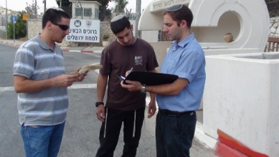  חדשות