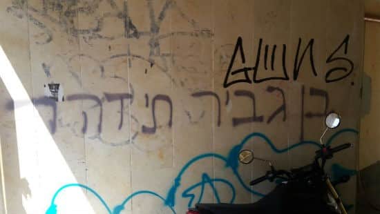 דוברות צילום: דוברות חדשות