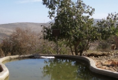יחצ צילום: יחצ תרבות