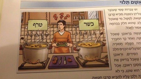 מתוך מה עושות הבנות בספרי הלימוד של החמד? צילום: מתוך מה עושות הבנות בספרי הלימוד של החמד? נשים