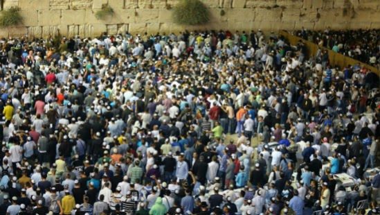 דוברות, אילוסטרציה צילום: דוברות, אילוסטרציה חדשות
