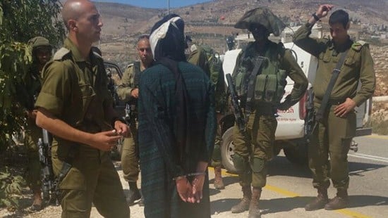מועצה אזורית שומרון צילום: מועצה אזורית שומרון חדשות