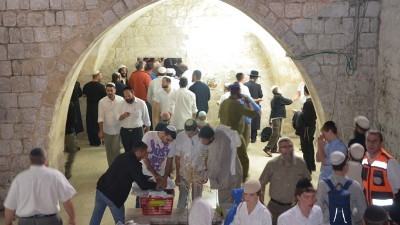 מאיר ברכיה, המועצה האזורית שומרון צילום: מאיר ברכיה, המועצה האזורית שומרון חדשות