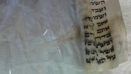 צו אחד צילום: צו אחד הורים וילדים