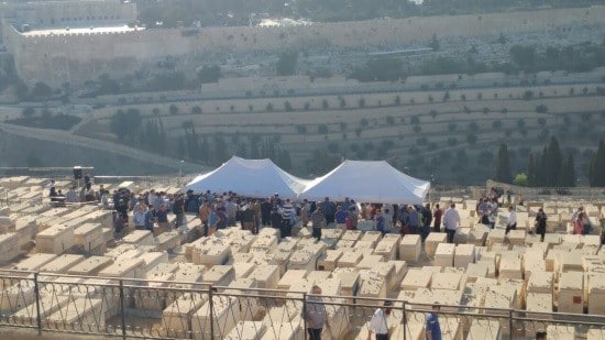 יחצ צילום: יחצ חדשות