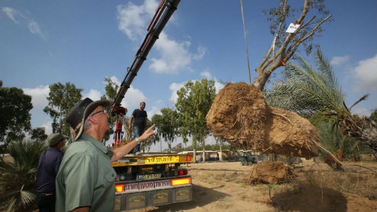 יוסי זמיר צילום: יוסי זמיר חדשות
