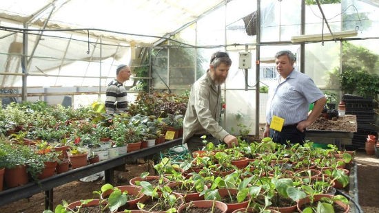 דוברות כלפה צילום: דוברות כלפה חדשות