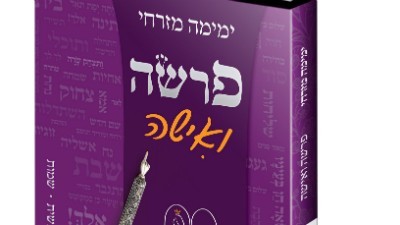  נשים
