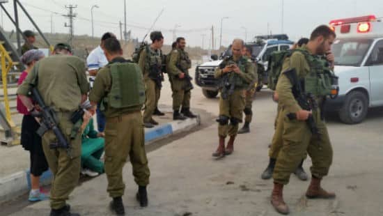 דוברות מואז שומרון צילום: דוברות מואז שומרון חדשות
