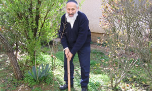 המטה למען פולארד צילום: המטה למען פולארד חדשות