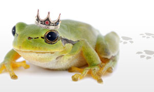  עוד דייט לאוסף