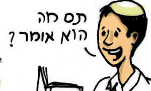 אוהד שגב צילום: אוהד שגב ארמדיל