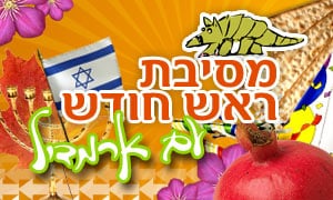  ארמדיל
