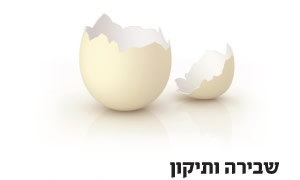  תרבות