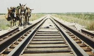 יחצ צילום: יחצ תרבות