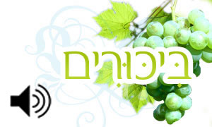  תרבות