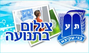  תרבות
