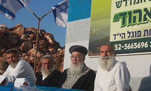 מרים צחי צילום: מרים צחי חדשות