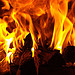 flickr:paulo.barcellos-cc צילום: flickr:paulo.barcellos-cc פרשת פנחס