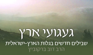  תרבות