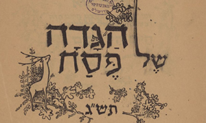 הספרייה הלאומית. ציירת רות שלוס צילום: הספרייה הלאומית. ציירת רות שלוס תרבות